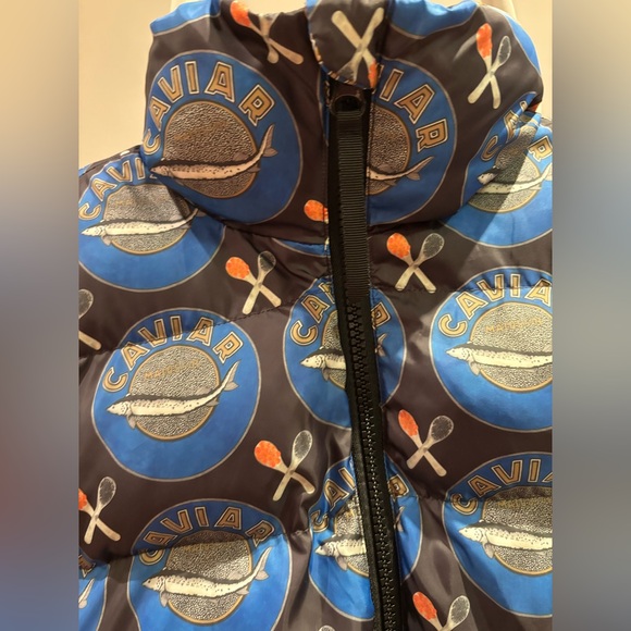 Rachel Antonoff x Anthropologie Caviar Tin and Spoon Puffer Jacket MEDIUM - Picture 5 of 6